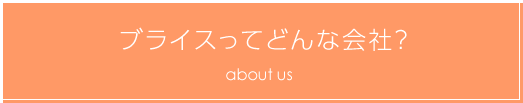 ブライスってどんな会社？
